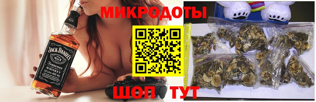Галлюциногенные грибы Psilocybine cubensis  Галлюциногенные грибы мицелий  Вход с VPN  Тельмана 