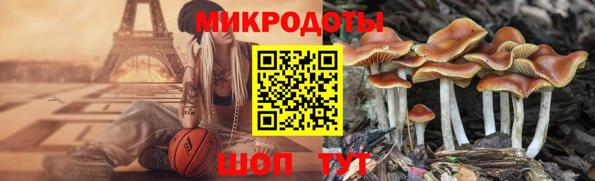 Галлюциногенные грибы прущие грибы Тельмана