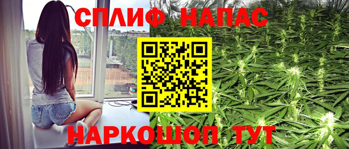 Бошки марихуана планчик Тельмана